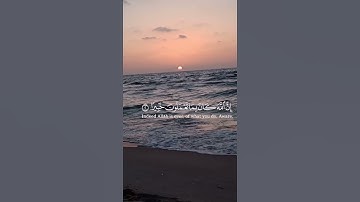 #ايات_قرانيه_قصيره #حالات_واتساب #islamic #اذكار_المساء