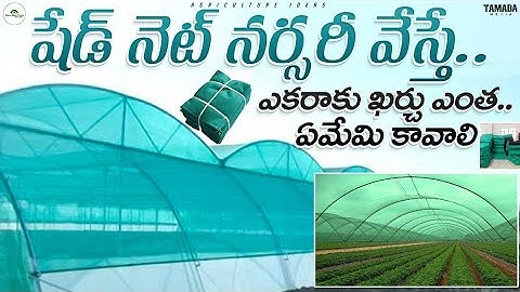 షేడ్ నెట్ నర్సరీ వేస్తే ఎకరా ఖర్చు ఎంత | How Much Cost For Shadenet Installation | Shiva Agri Clinic