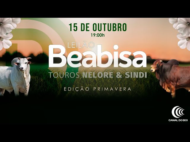 LOTE 34