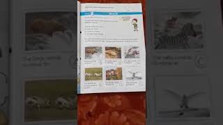 Smart science work book 3