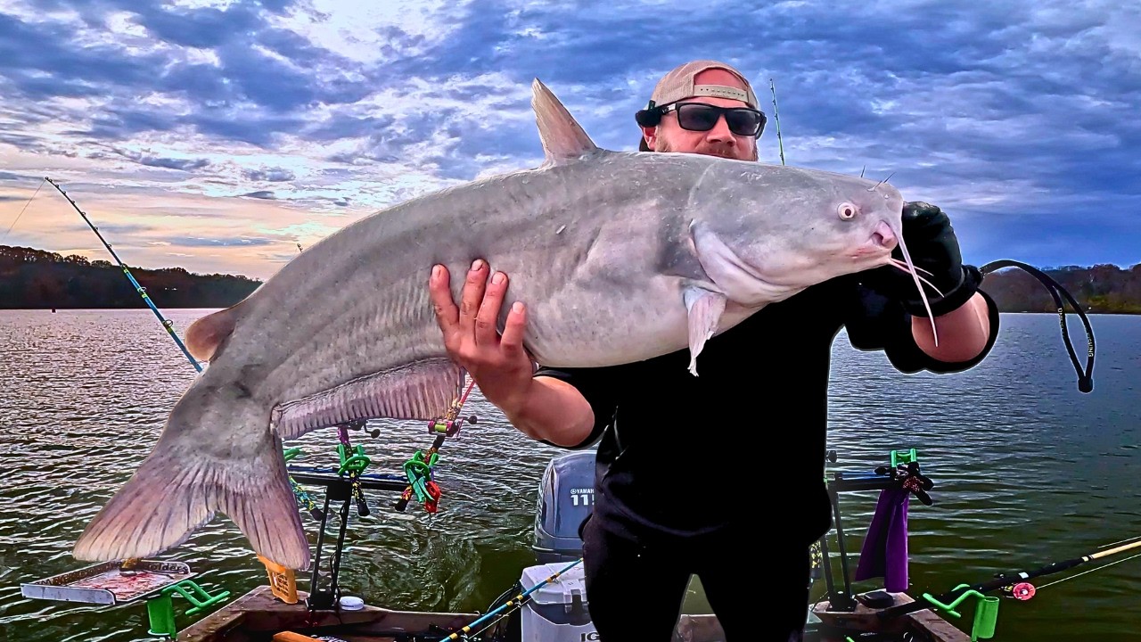 Почему вы упускаете рыбу? Перетаскивание приманок