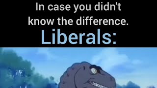 The Difference Between Liberals And Leftists: