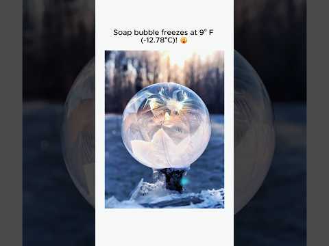Soap bubble .#physics #nature
