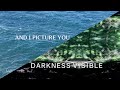 Mumford Sons Picture You Darkness Visible Both Lyric Videos mp3