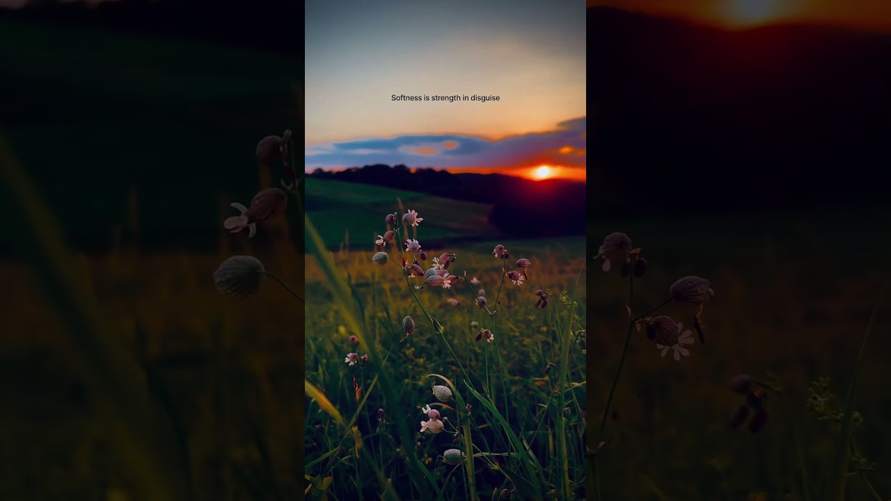 Beautiful Sunset View | Nature Calm