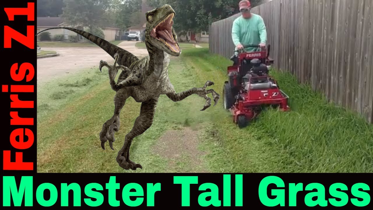 Ferris Z1 vs. Monster Tall Grass - ECHO PAS 2620