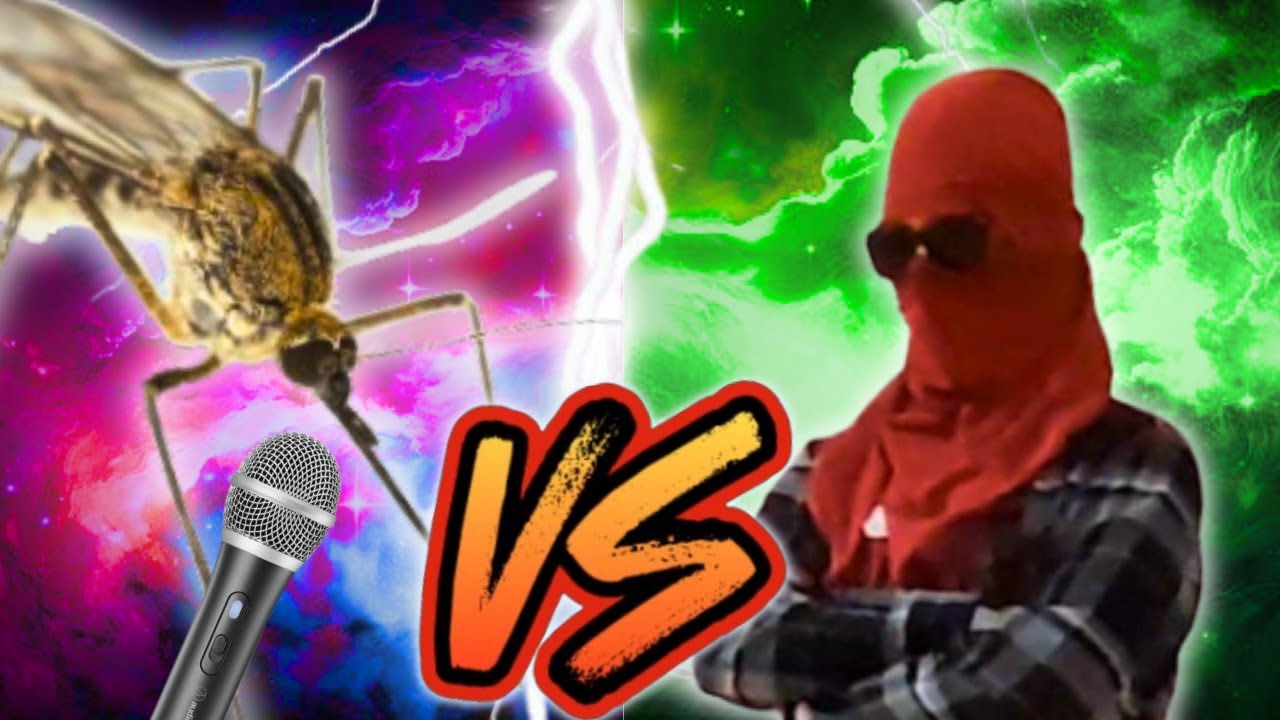 EPIC RAP BATTLE: Me vs Mosquito