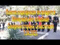 Памяти подводников. 7.04.2023