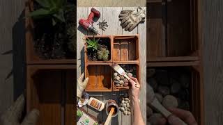Budget Friendly Patio Planters That Look High End!