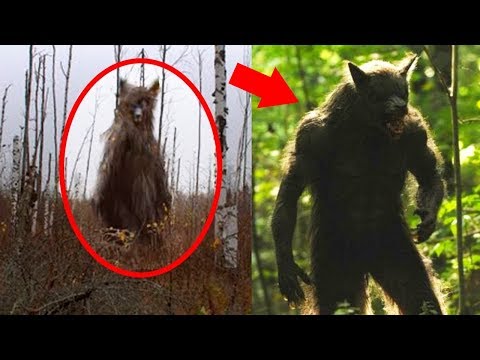 Werewolves + Mysterious Creatures Caught on Tape - Werewolves + Mysterious Creatures Caught on Tape