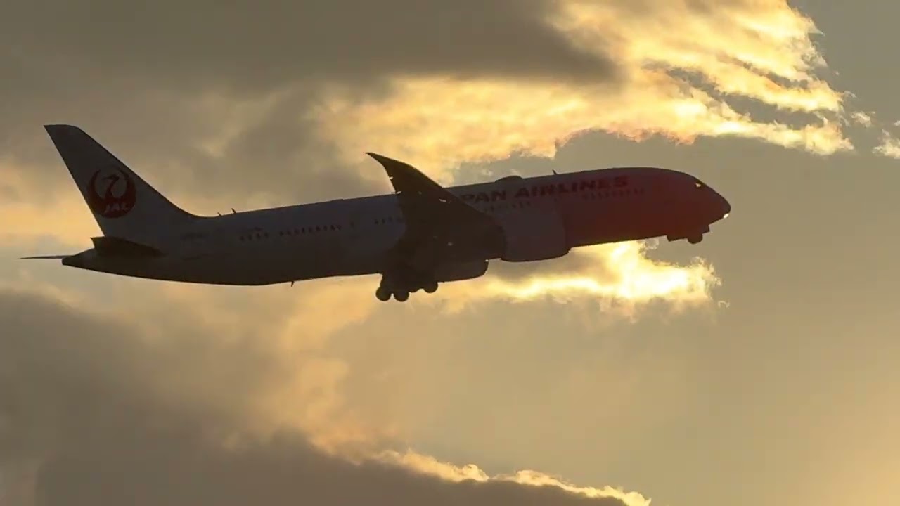 2026年2月11日の伊丹空港(16時53分〜17時31分)