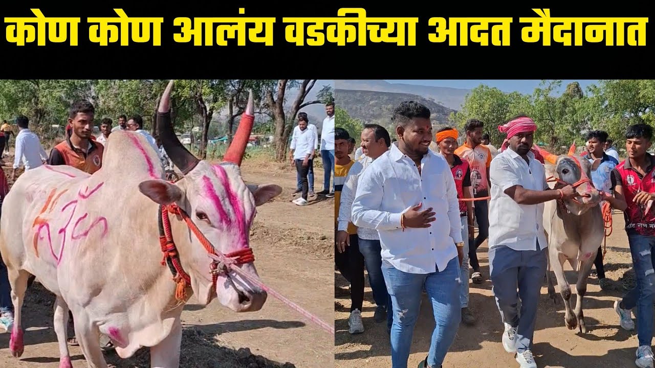 कोण कोण आलंय वडकीच्या आदत मैदानात 