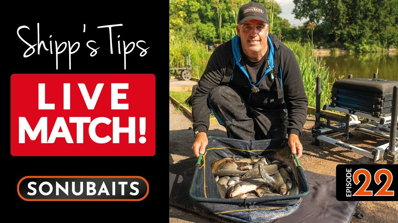LIVE MATCH With Des Shipp! | Bitterwell Lakes | Shipp's Tips Episode 22