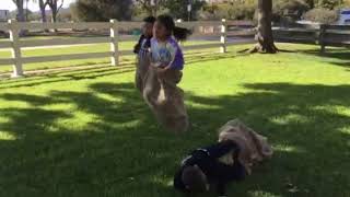 Potato Sack Race