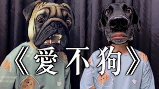 《愛不狗》晴天林｜有人網上公然違法賣狗肉/香肉（原曲：愛不疚 - 林峯）