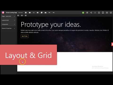 Layout & Grid