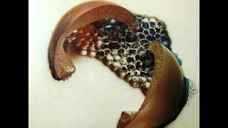 Cecil Taylor ~ Lono ~ Solo - YouTube