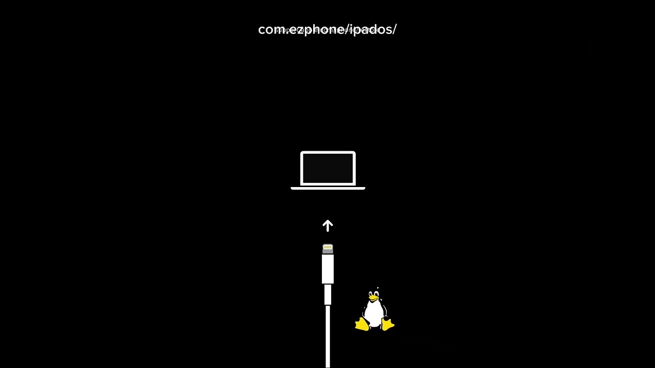 EZPHONE VIRUS BRICKED MY IPAD 10TH GEN WITH LINUX 