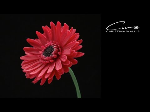 فيديو: كيف تصنع زهرة من الطين