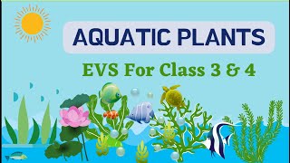 Aquatic Plants || CBSE Class 3, 4  EVS Aquatic Plants In Simple Words