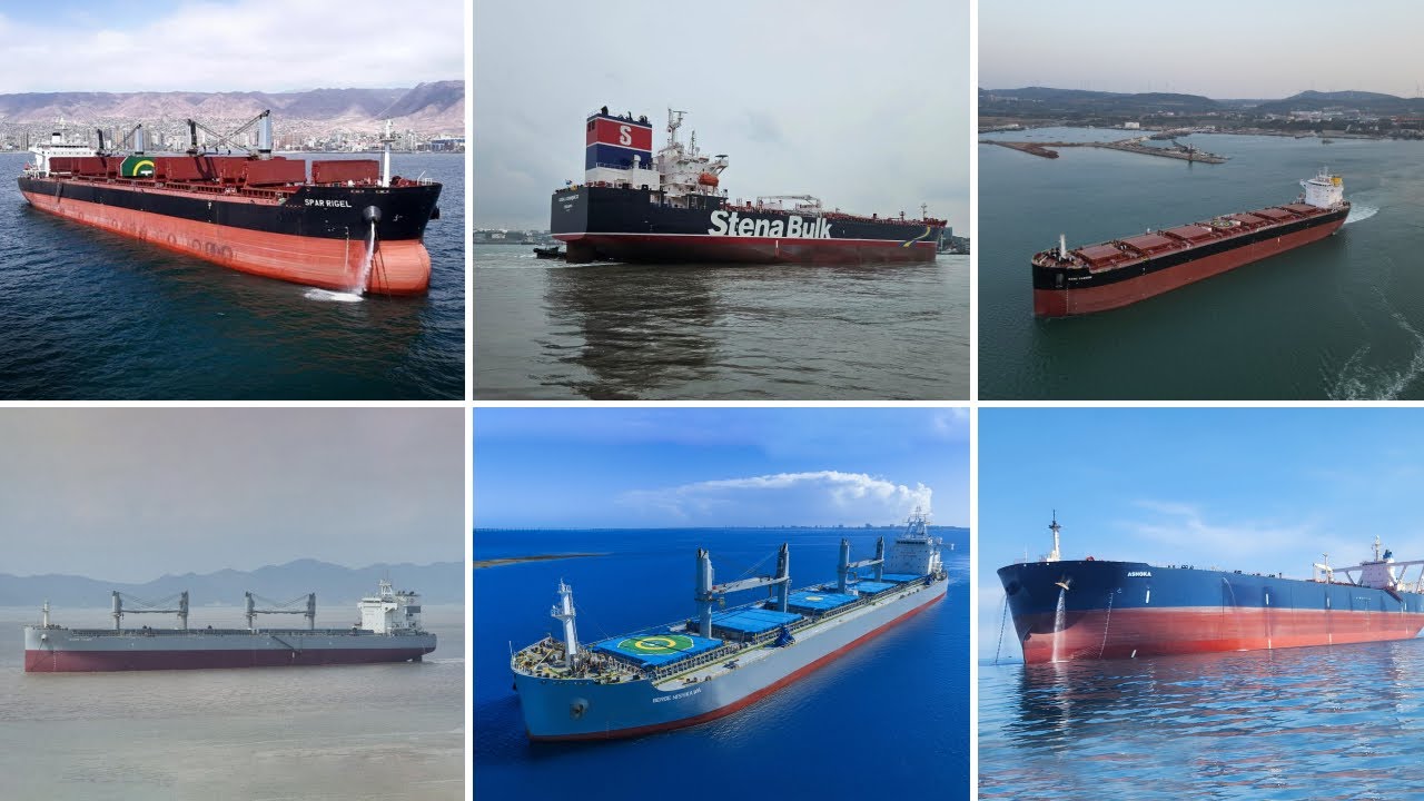 New Vessel Additions to the Synergy Marine Group Fleet | December 2025 Update