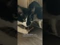 Жорику сделали операцию