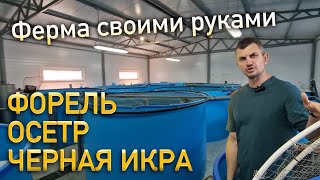 Форель и Осётр / Обзор фермы по выращиванию рыбы