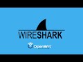 Как анализировать VPN-трафик на OpenWRT с помощью Wireshark