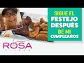 Sigo MI FESTEJO PREPARANDO y COMIENDO CARNITAS | Transmisión en VIVO | Doña Rosa Rivera