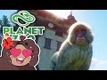 Snowy TEMPLES for Rescued Macaques!! 🐼 Daily Planet Zoo! • BONUS Day 48