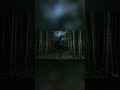 The ultimate dark nature ASMR 🎧 #whitenoise #rain #sleepasmr #relax  #deepsleep#rainsounds