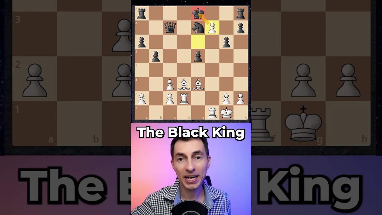 Типичный день Михаила Таля в офисе