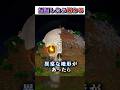 マイクラ"遭遇したら"終わる『最悪の』都市伝説モブ３選!?【まいくら,マインクラフト,小技,裏技,解説,都市伝説】