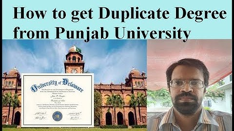 How to get Duplicate Degree from Punjab University Lahore 2023