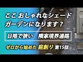 ここを素敵なシェードガーデンにしたい！　暗い隣家境界通路