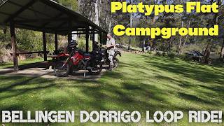 Platypus Flat Campground - Dorrigo Loop Ride