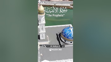 Surah Al-Anbiya 8 - Hindi/Urdu Audio |سورة الأنبياء #surahalanbiya #muslim360