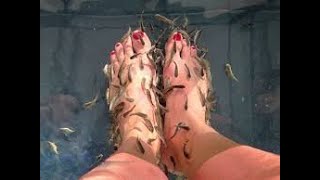 🐟 Foot Spa Secrets REVEALED! Fish Pedicure Magic ✨