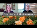 Interview with the rose geek  austin rose recommendations