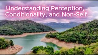 Understanding Perception, Conditionality, and Non-Self as explained by the Buddha