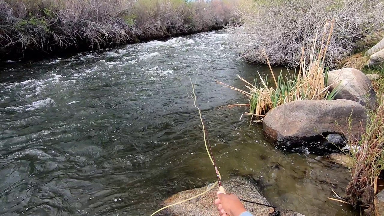 Eastern Sierra California Fly Fishing Beauty Bow YouTube