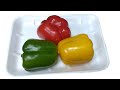 How To Store Fresh Capsicum In Fridge | Bell Pepper | Kitchen Tips