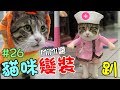 『貓咪變裝趴』最萌聖誕節Cosplay&自行車初體驗- MiMi醬 Cat Story#26