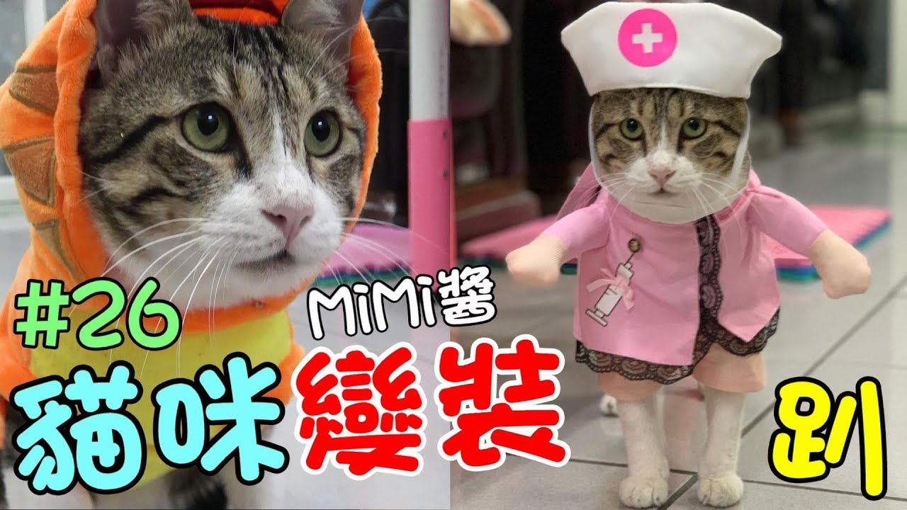 『貓咪變裝趴』最萌聖誕節Cosplay&自行車初體驗- MiMi醬 Cat Story#26