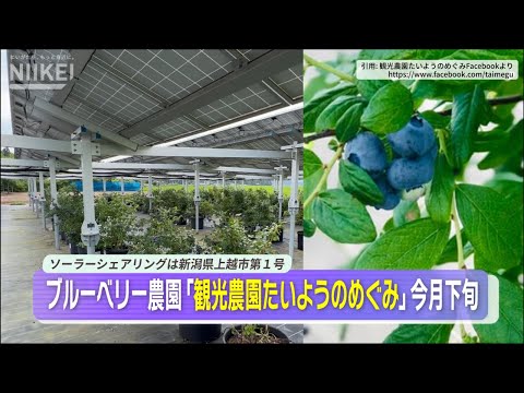 観光農園たいようのめぐみの紹介動画サムネイル