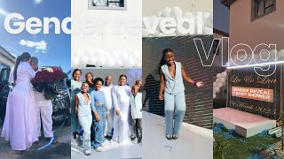 Gender Reveal Baby Shower Vlog