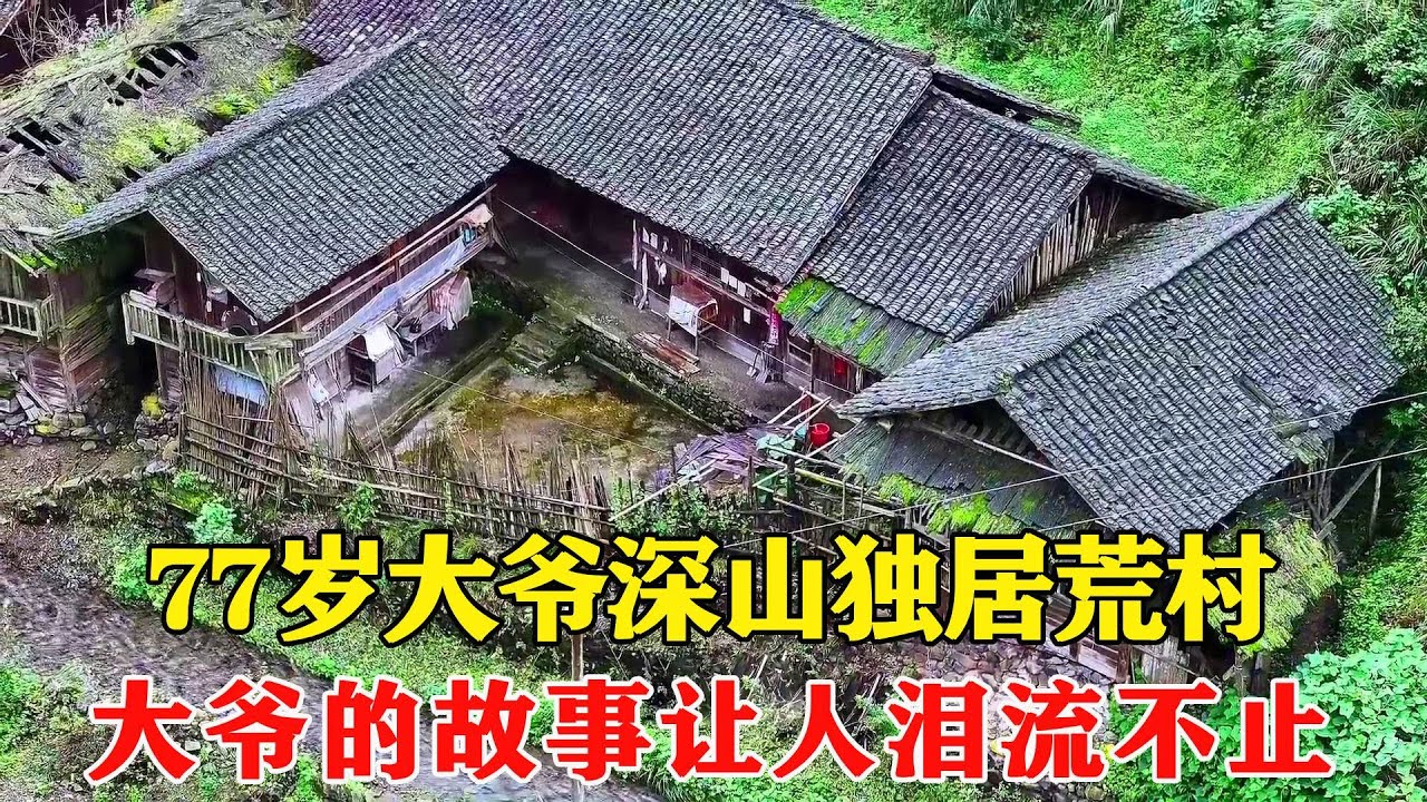 77岁大爷深山独居荒村，种田养牛自给自足，大爷的一生让人泪流不止！【乡村阿泰】