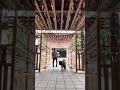 秋田犬長毛カイは音で涼求めて櫻山八幡宮