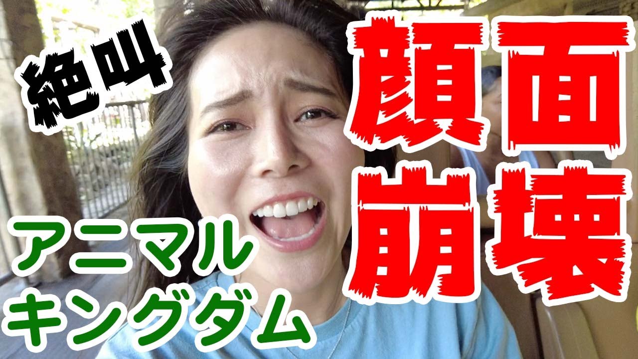 【ディズニー】放送事故！アニマルキングダムで顔面崩壊！【フロリダ】