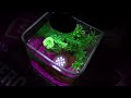 Mini LED Light for Fish Tank & Fish Bowls